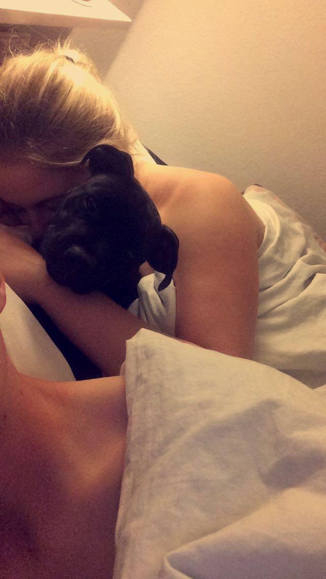 Staffordshire bull terrier BitchByChoice - Luna BA billede 19