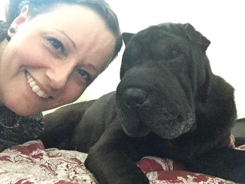 Shar pei Chili - 24. december 2016 billede 6