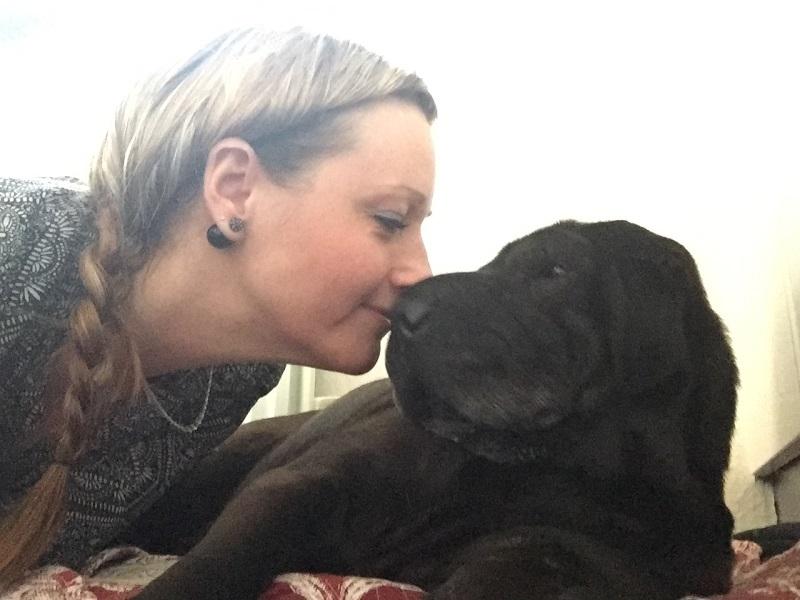 Shar pei Chili - 24. decber 2016 billede 7