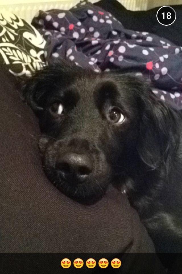 Markiesje Shedy-Lady billede 10