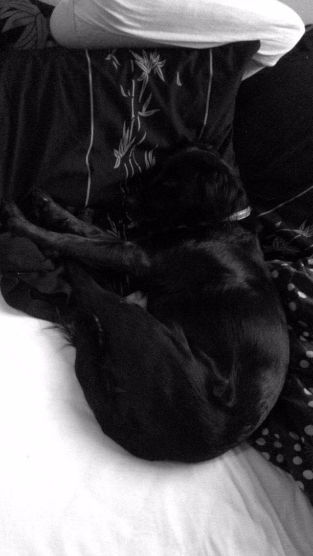 Markiesje Shedy-Lady billede 20