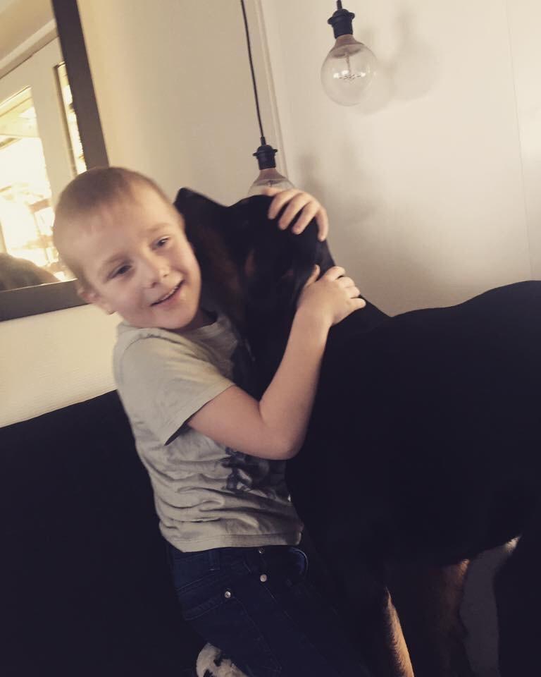 Rottweiler Malli billede 25