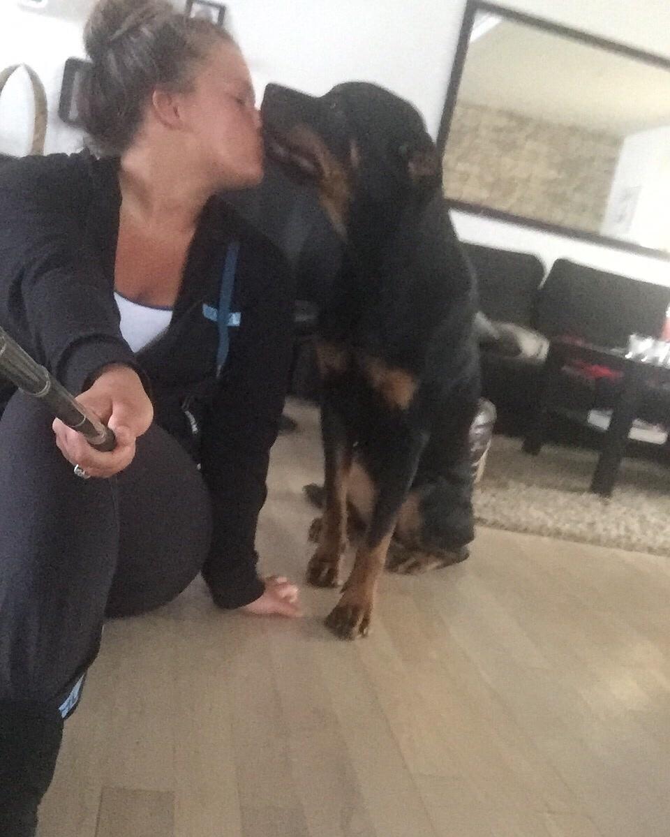 Rottweiler Malli billede 27