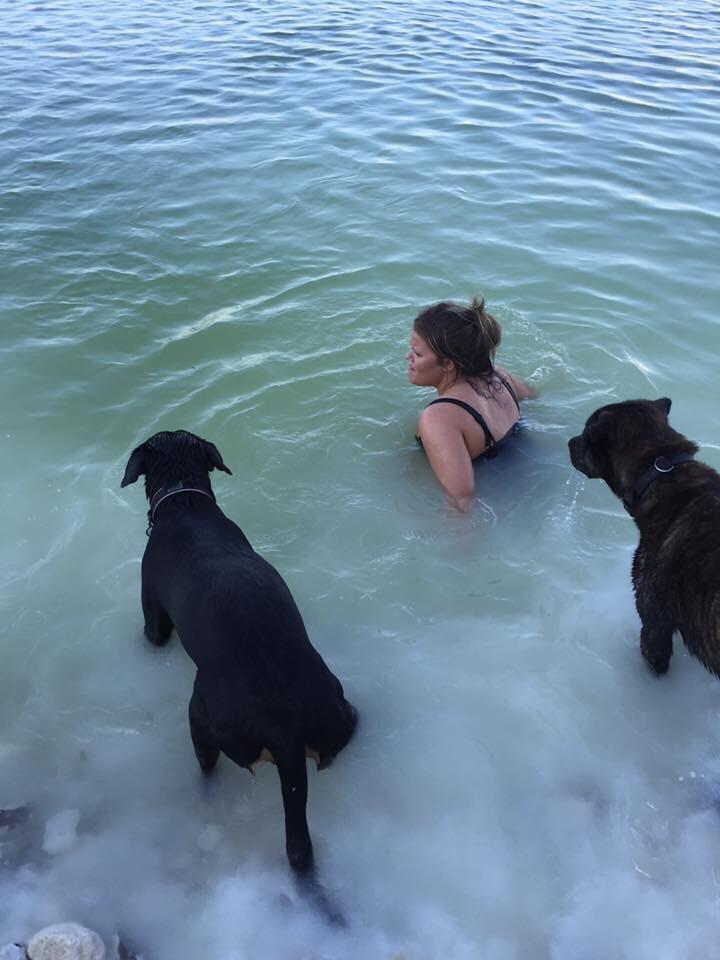 Rottweiler Malli billede 33