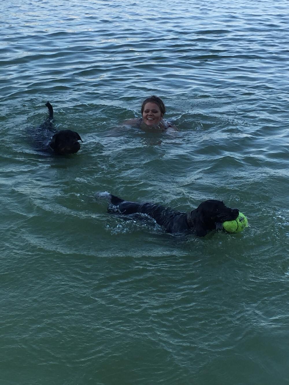 Rottweiler Malli billede 36