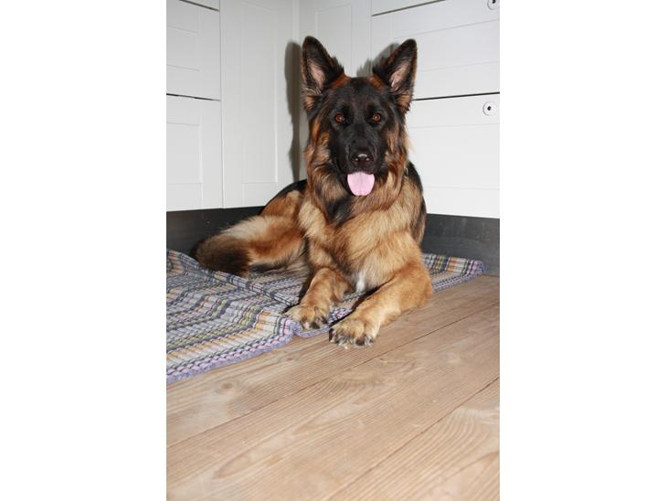 {{currentPhoto.altText}} billede {{currentPhoto.number}}