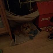 Blanding af racer Emma