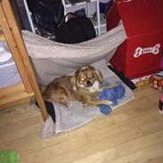 Blanding af racer Emma