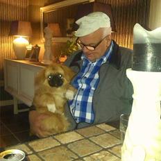 Pekingeser Arnold 