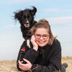 Blanding af racer Superhunden Molly