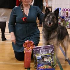 Tervueren Athene A Fleme Of Pride