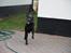 Blanding af racer Xena (hvil i fred <3)