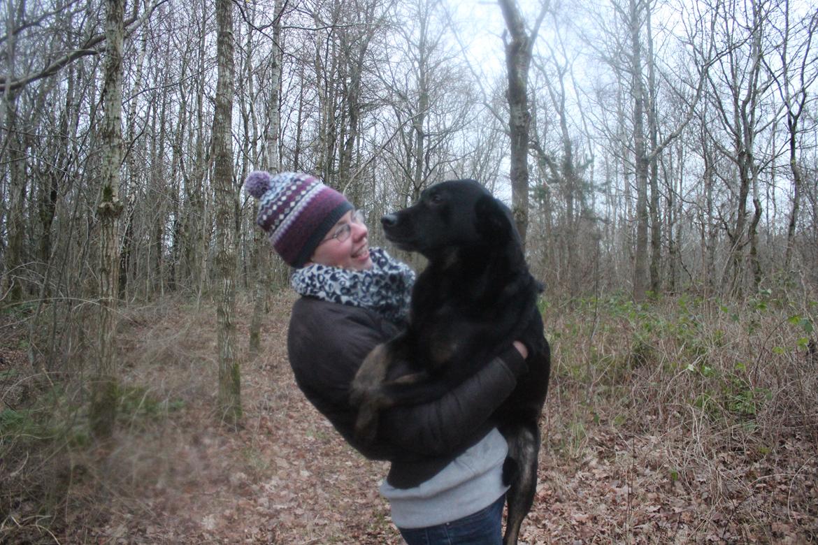 Blanding af racer Bundy billede 8