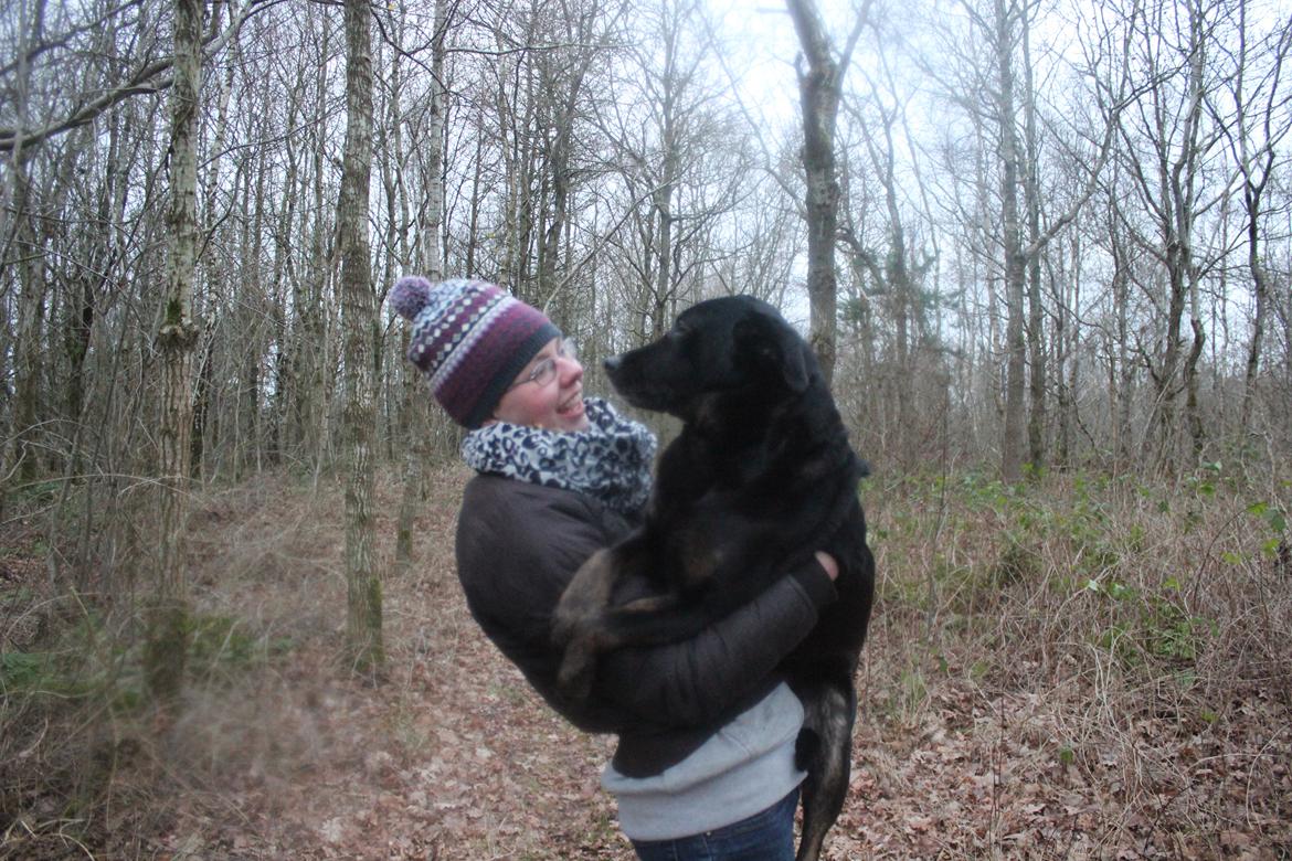 Blanding af racer Bundy billede 17