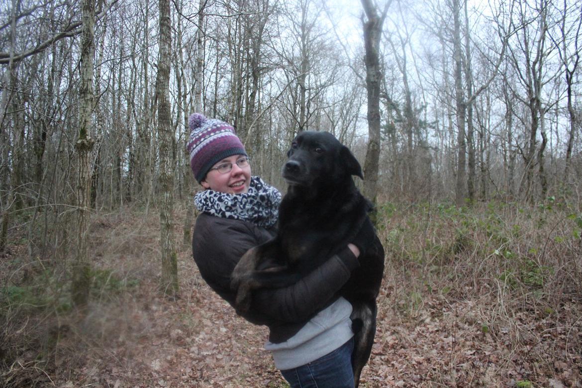 Blanding af racer Bundy billede 1