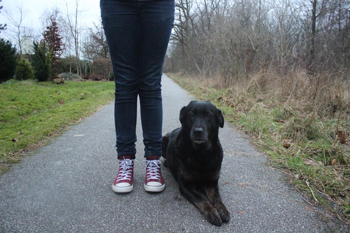 Blanding af racer Bundy billede 20