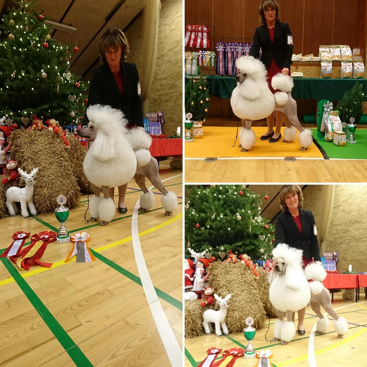 Storpuddel Tula billede 47