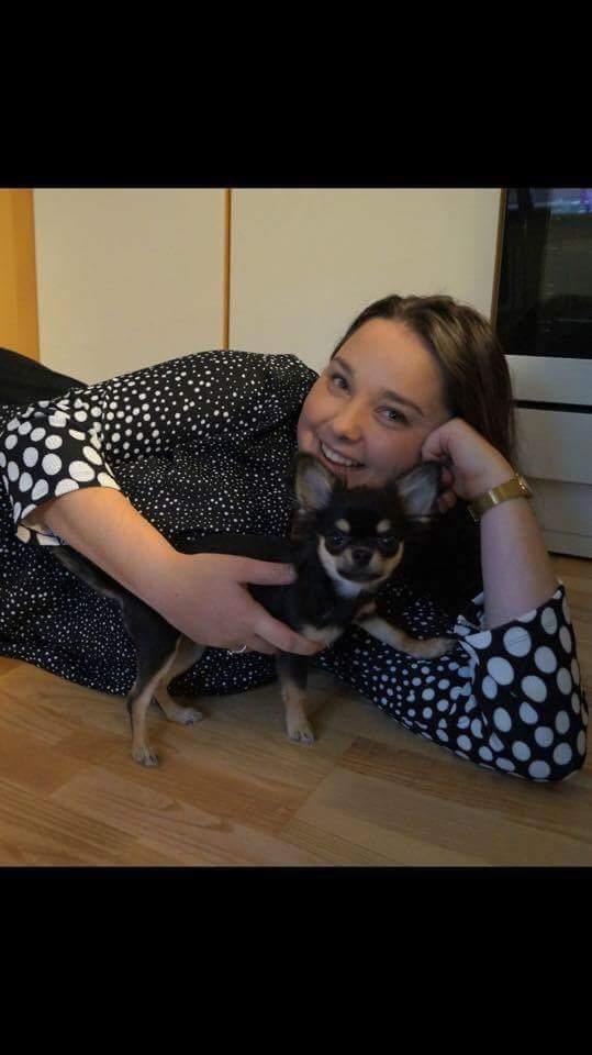 Chihuahua New Star Nova Be My Dream "Nova" - November 2016 5 mdr billede 14