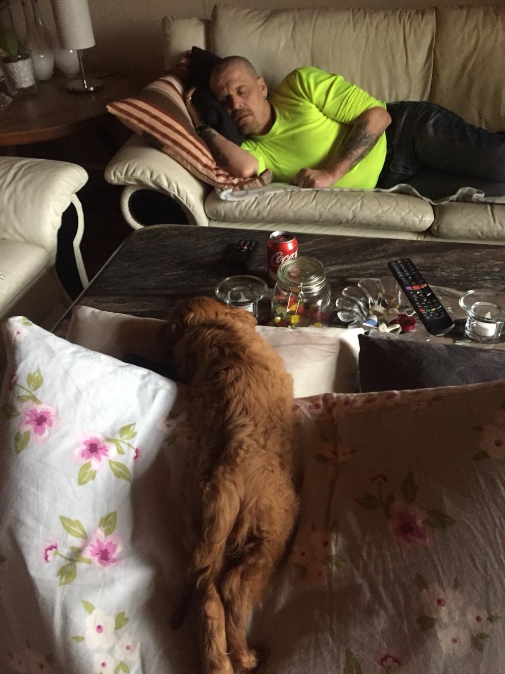 Cavalier king charles spaniel Baby billede 23