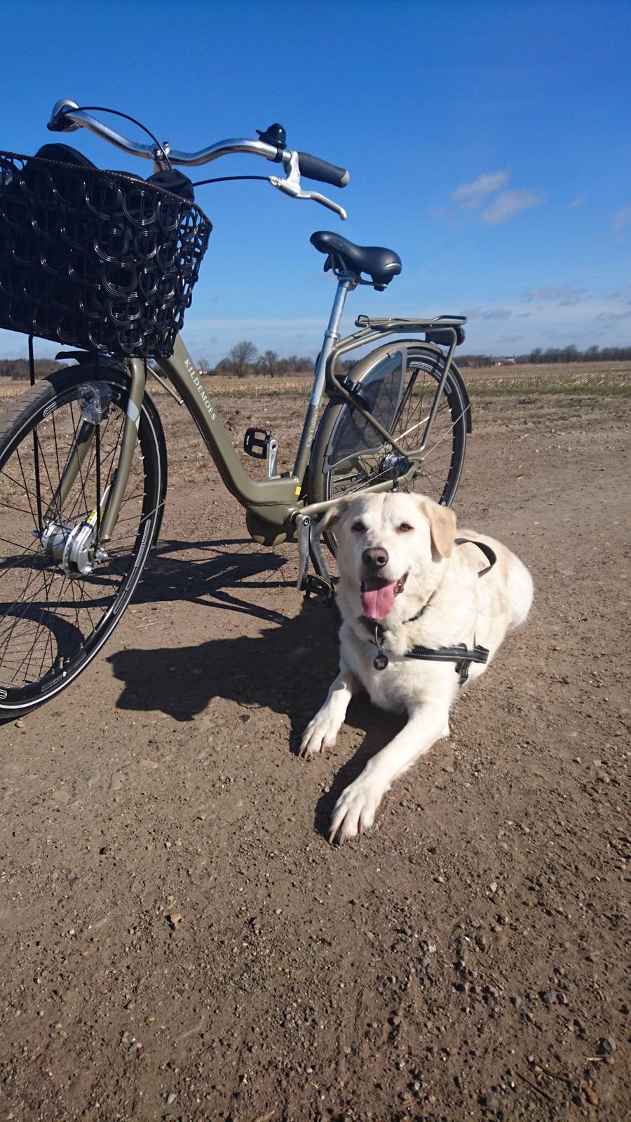 Blanding af racer Fnug billede 24