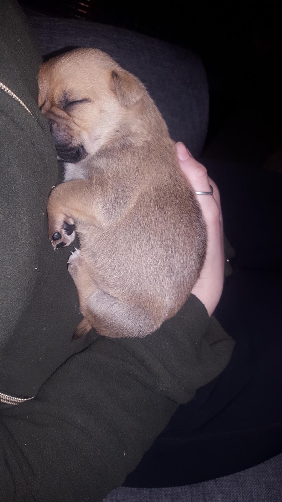 Blanding af racer Transformers Ironhide  billede 9