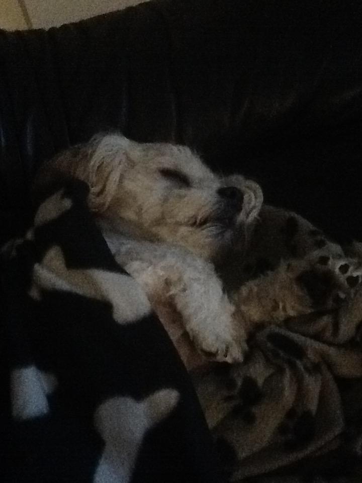 Blanding af racer Topper billede 4