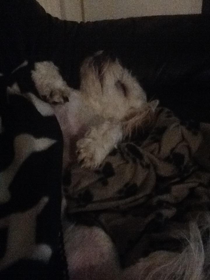 Blanding af racer Topper billede 5