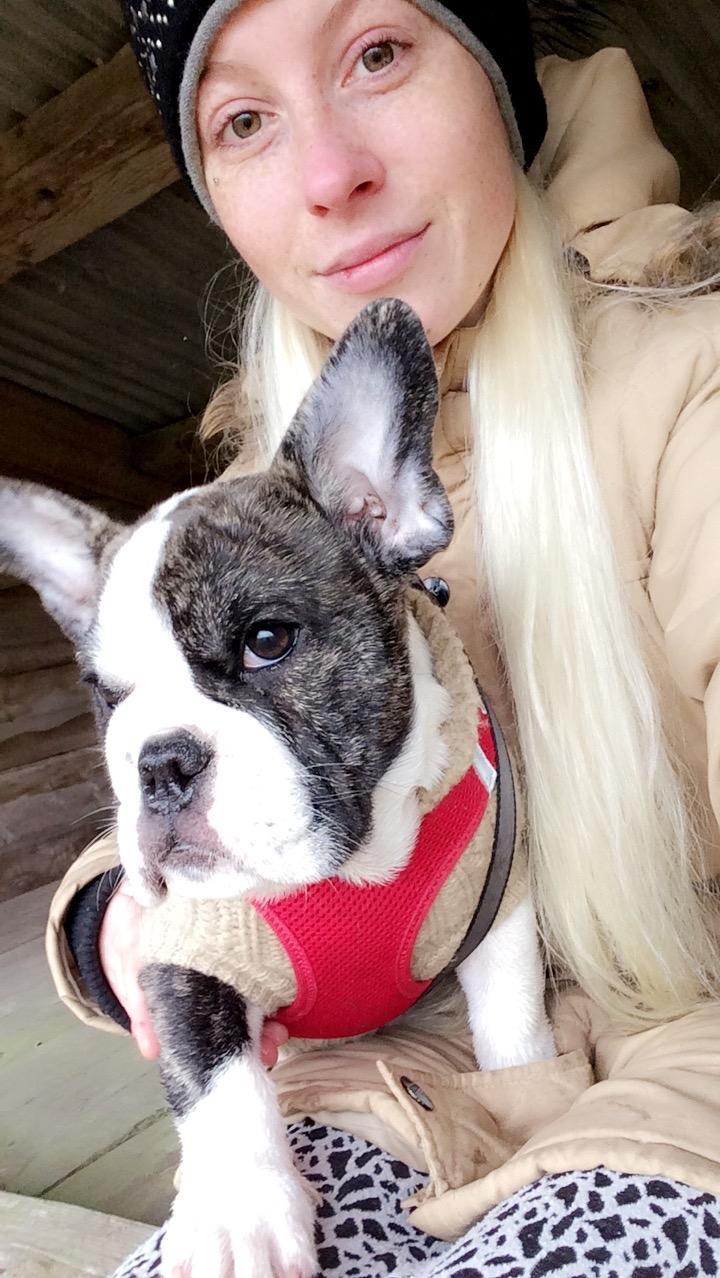 Fransk bulldog Molly billede 4