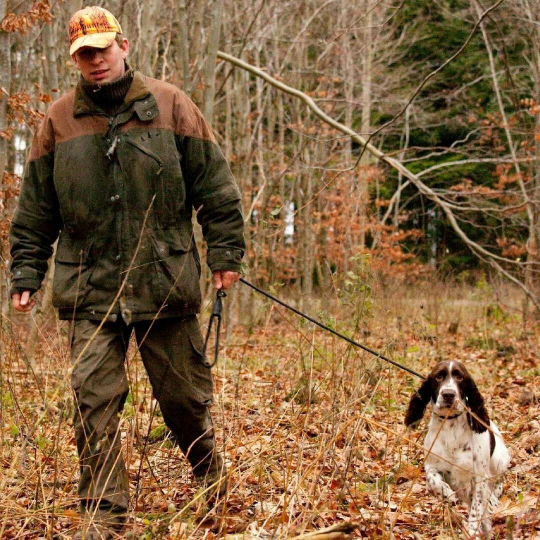 Engelsk springer spaniel Happy Lean´s Aya billede 5