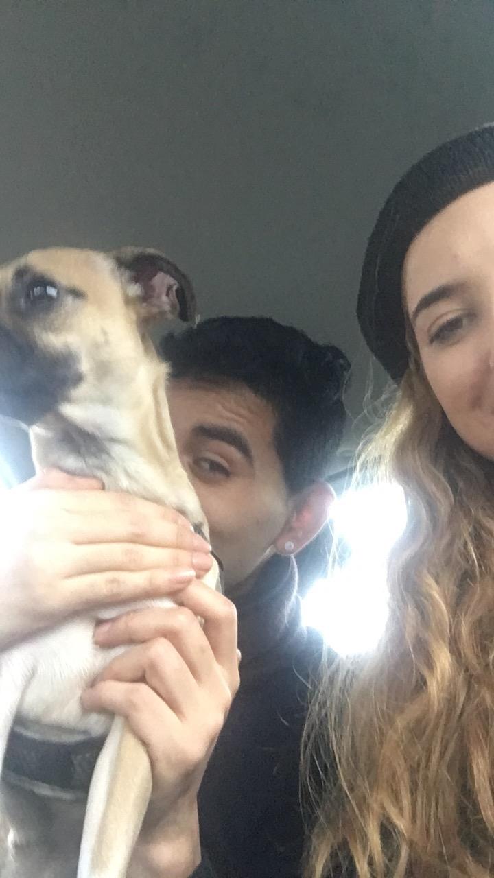 Blanding af racer Wanda billede 2