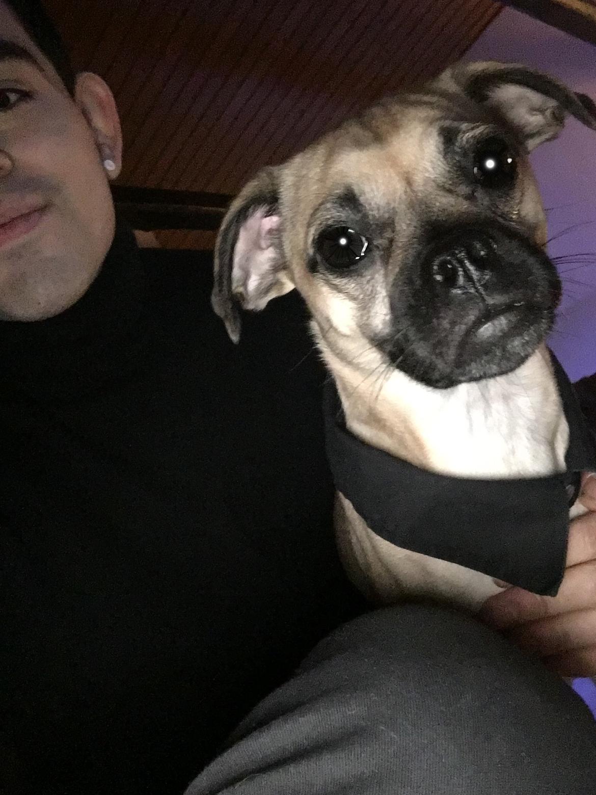 Blanding af racer Wanda billede 3