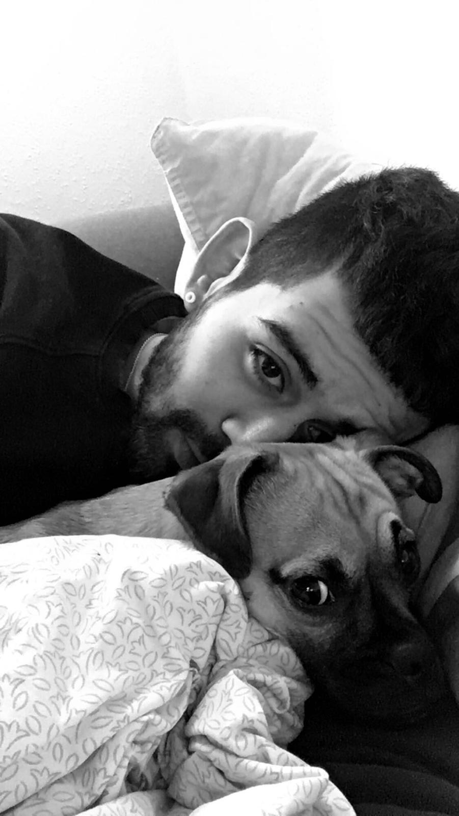 Blanding af racer Wanda billede 5