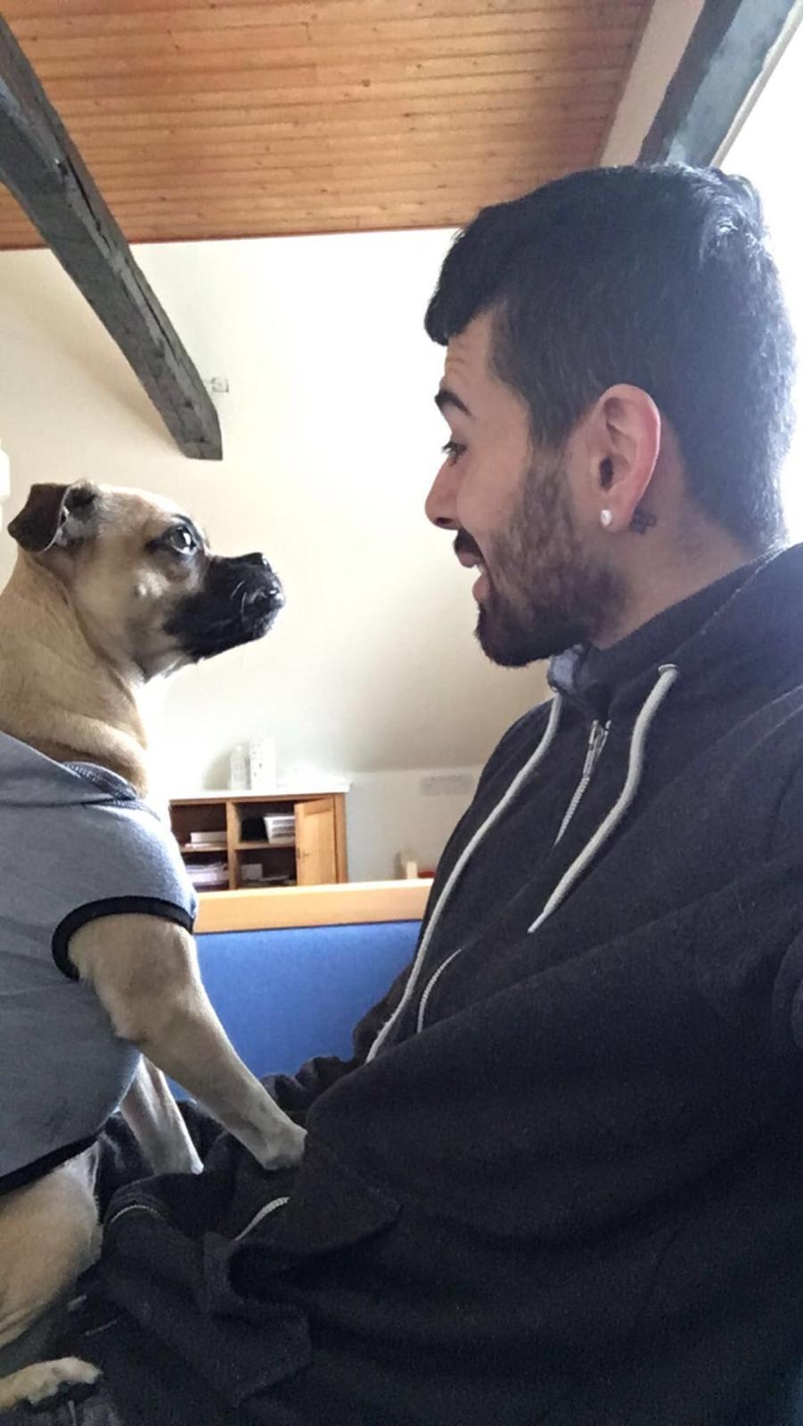 Blanding af racer Wanda billede 6