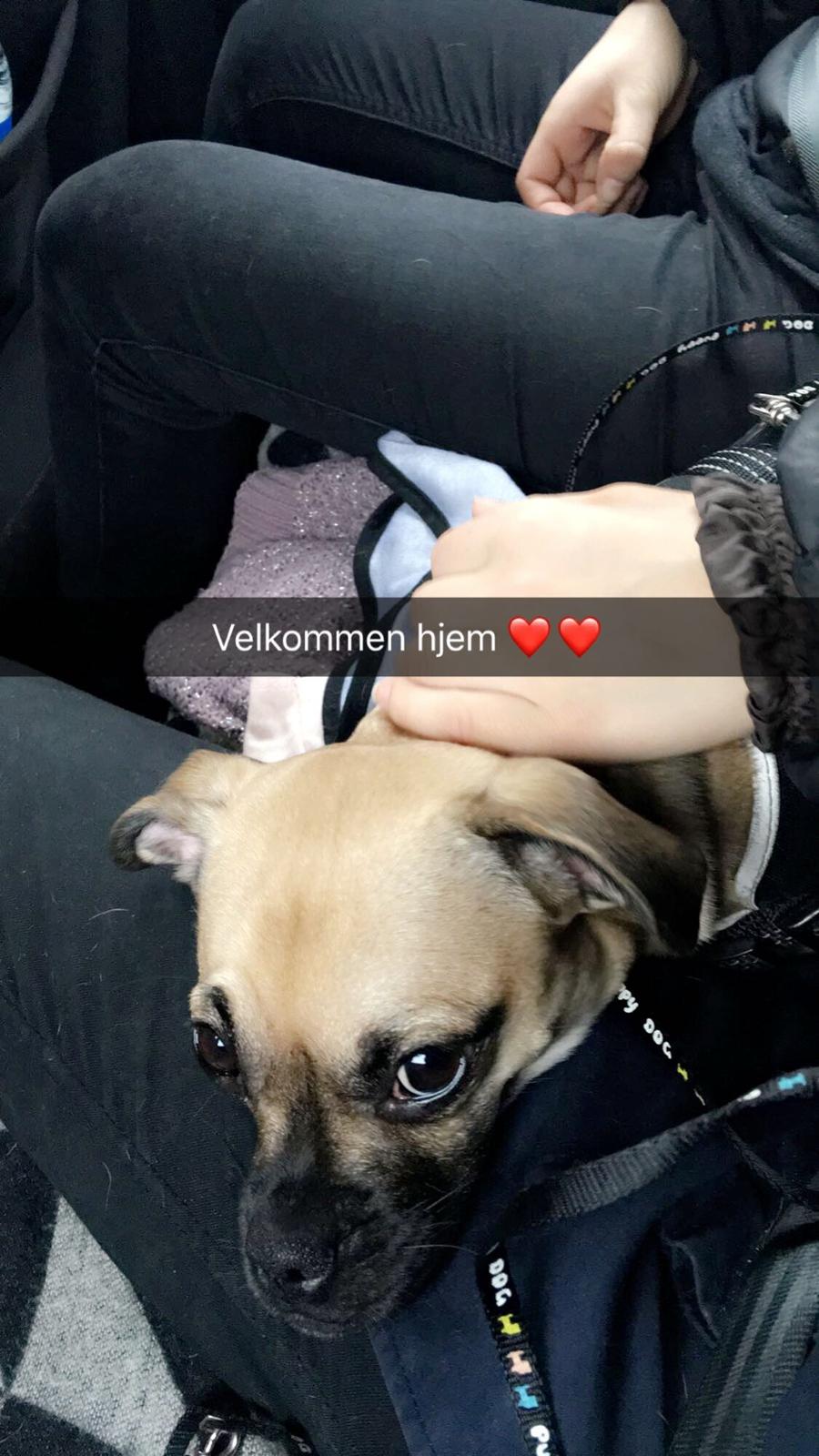 Blanding af racer Wanda billede 15