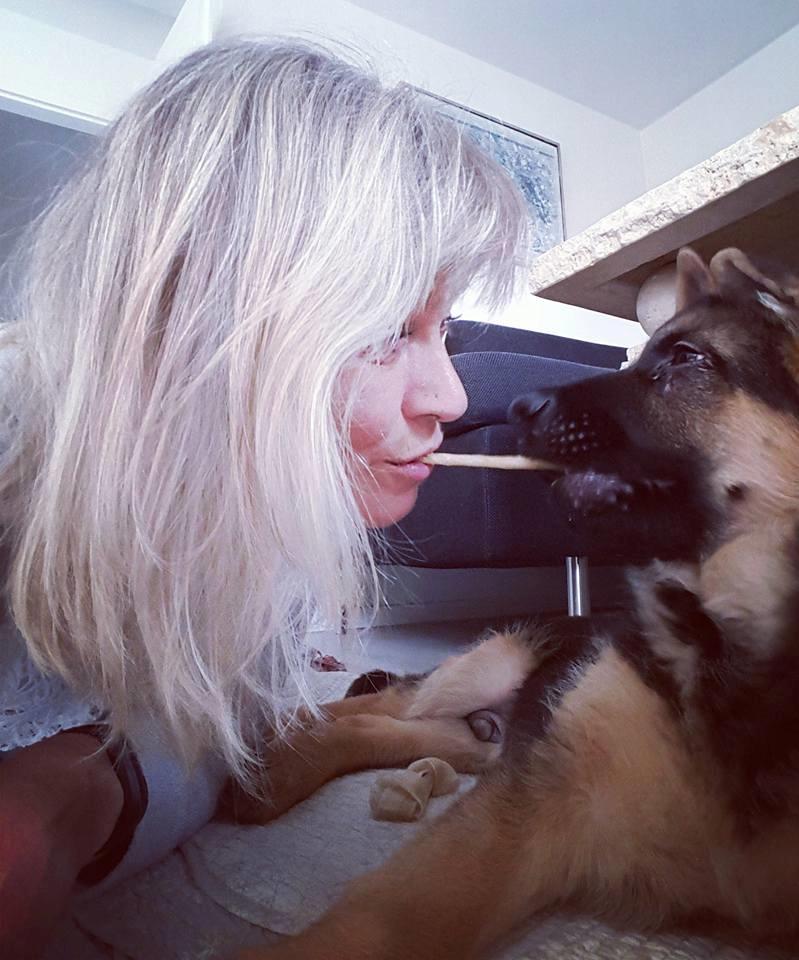 Schæferhund Lester Flokkenlund billede 3