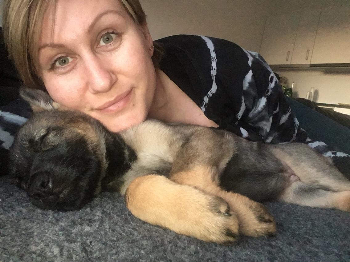 Schæferhund Weedfald Enya billede 29