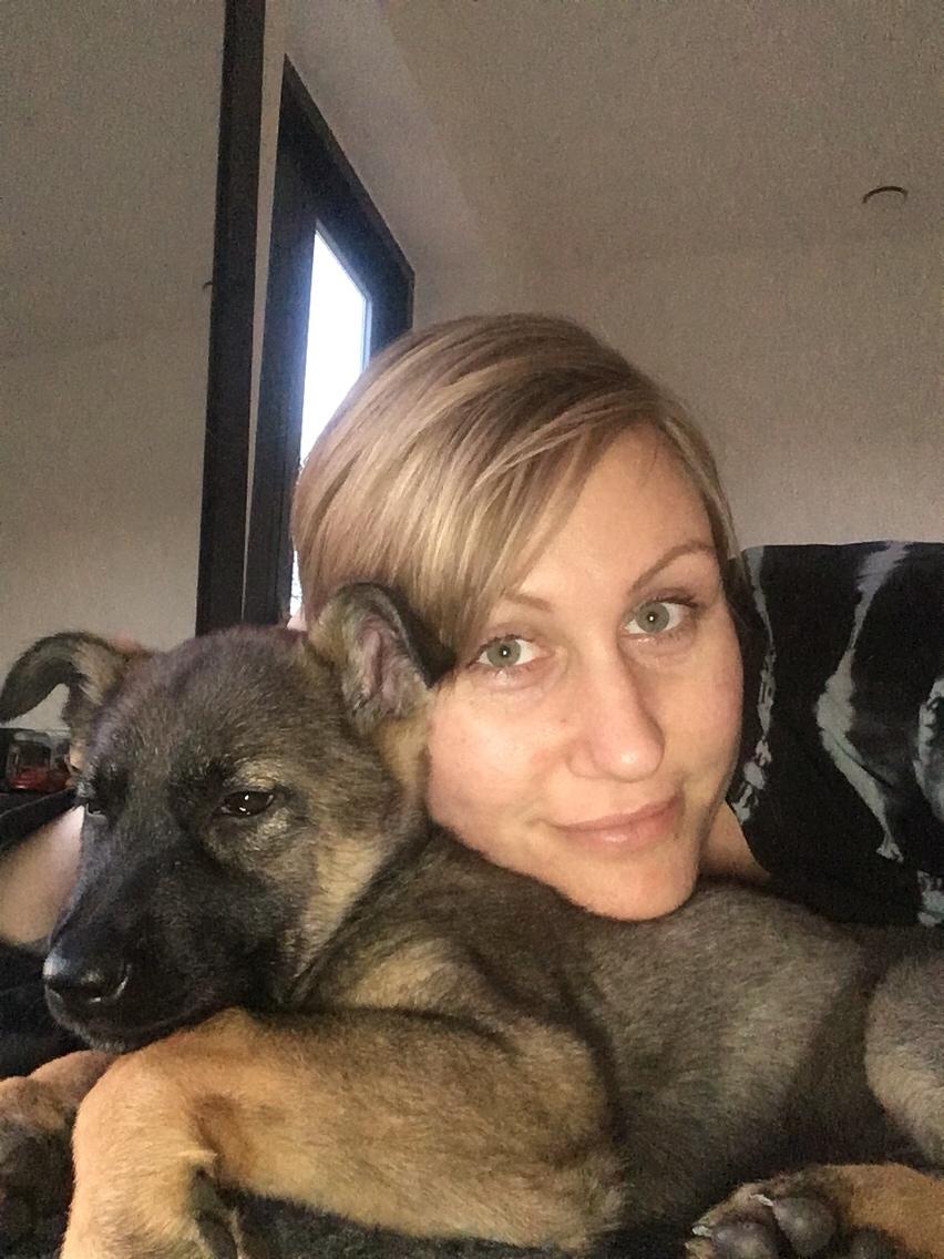 Schæferhund Weedfald Enya billede 30