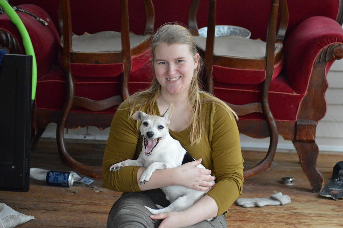 Jack russell terrier Jackie billede 6