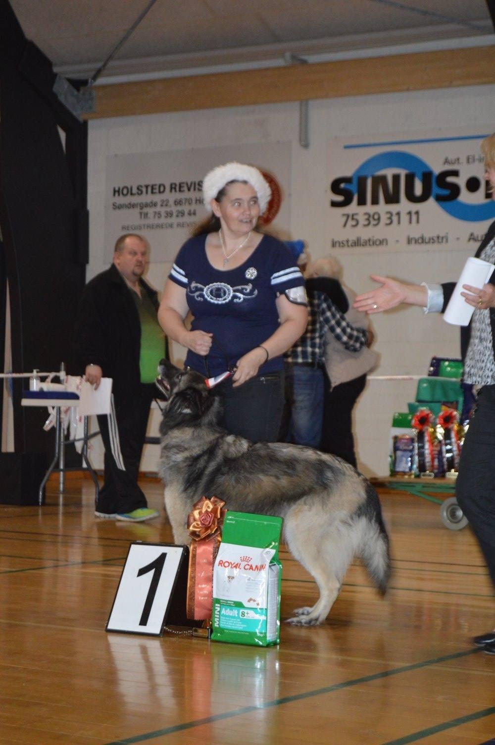 Tervueren Athene A Fleme Of Pride billede 4