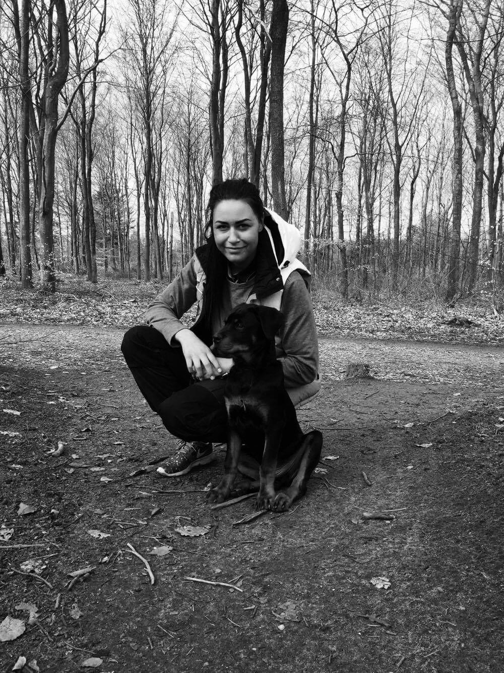 Rottweiler Bosco billede 30