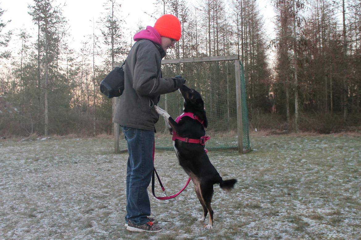 Blanding af racer Nessie billede 9