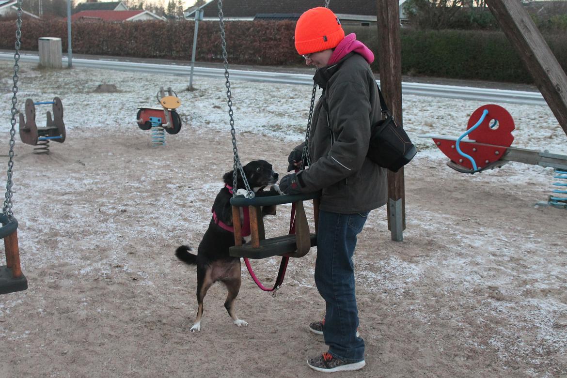 Blanding af racer Nessie billede 15