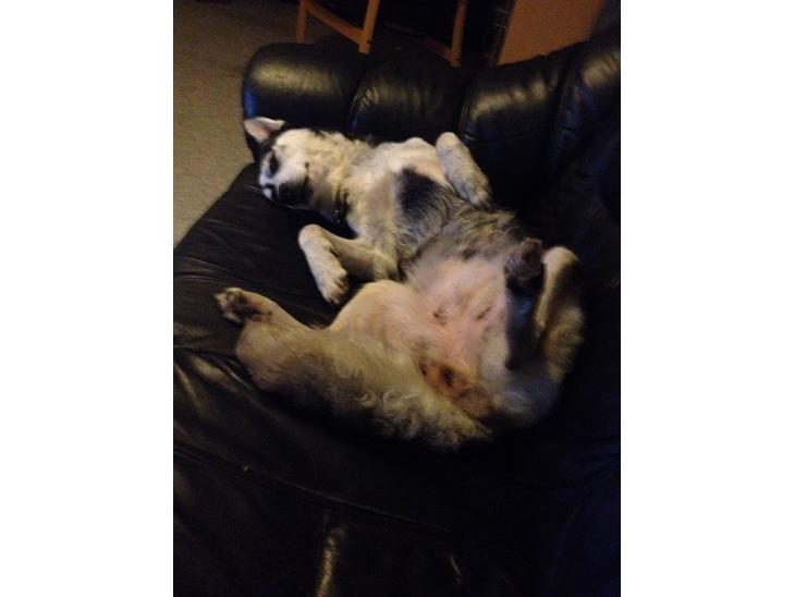 {{currentPhoto.altText}} billede {{currentPhoto.number}}