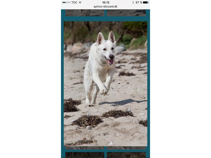 {{currentPhoto.altText}} billede {{currentPhoto.number}}