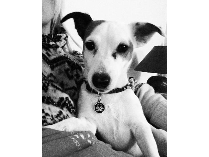 {{currentPhoto.altText}} billede {{currentPhoto.number}}