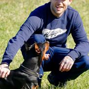 Dobermann Maestro Nero Di Altobello (Snoop)