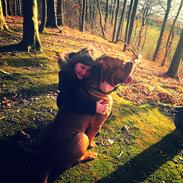 Dogue de bordeaux Aslan
