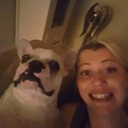 Fransk bulldog Frygtløs