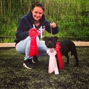 Staffordshire bull terrier Althea