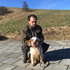 Clumber spaniel Mads - Clumbus Hole In One